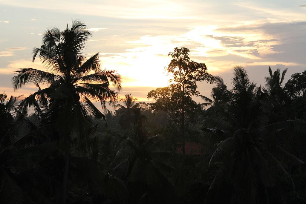 Frangipani Villas อูบุด ภายนอก รูปภาพ