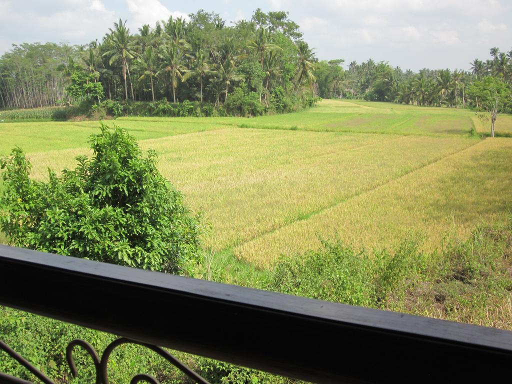 Frangipani Villas อูบุด ภายนอก รูปภาพ